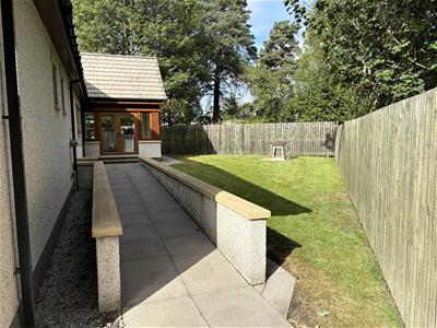 Picture 24